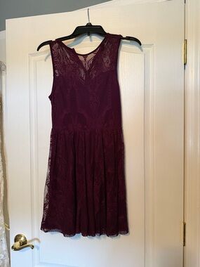 Express Sleeveless Lace Fit-and-Flare Mini Dress - Burgundy